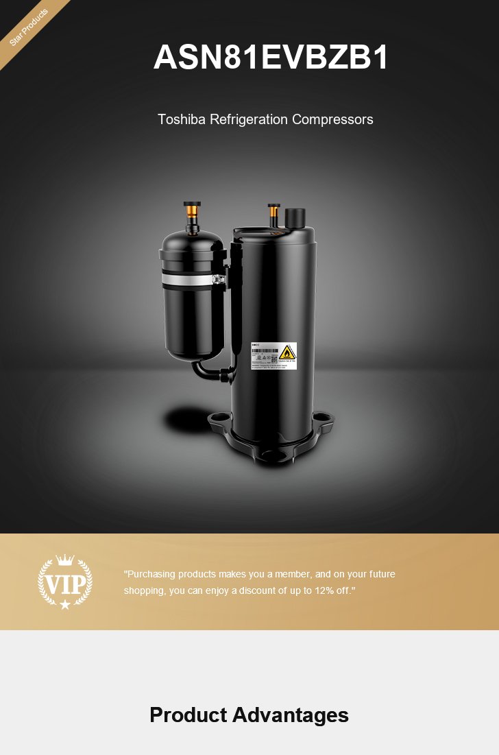 Toshiba Compressor ASN81EVBZB1, technical parameters pdf, structure diagram